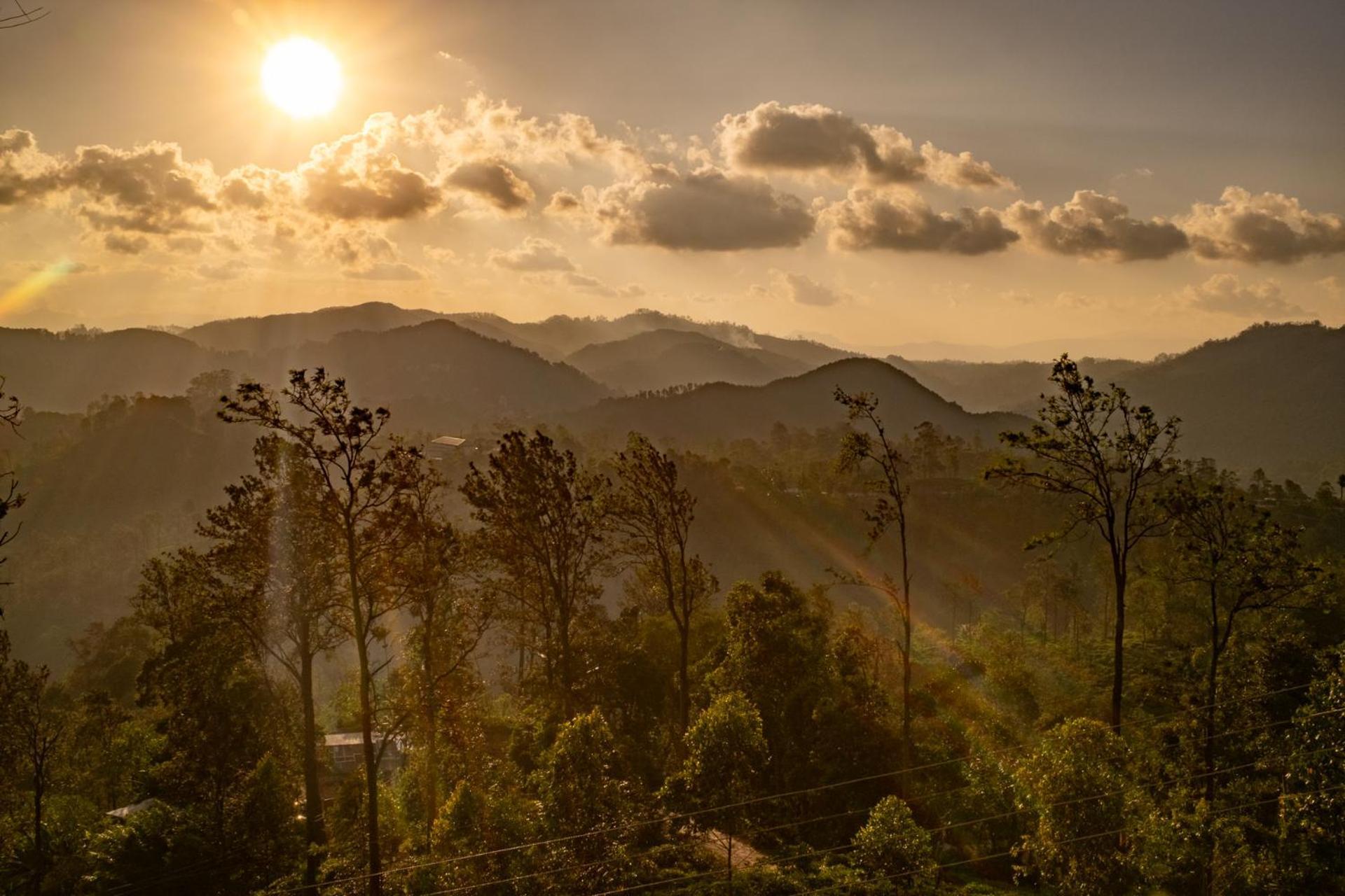 Ella Mountain Palace Dış mekan fotoğraf